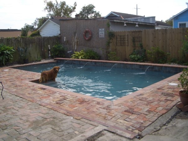 107 (free dog w pool - just kidding)