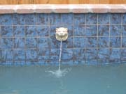 98 w lion head fountain